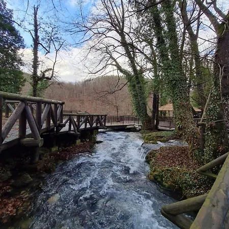 Brvnara Na Obali Reke Drine *